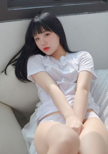 月光宝盒在线观看免费版下载全集