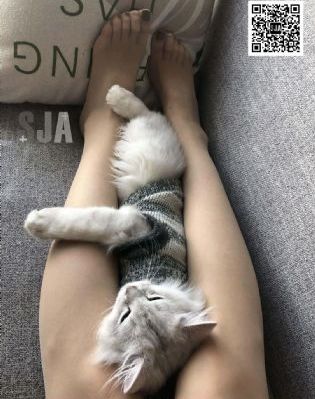 美女绳地狱无删减电影