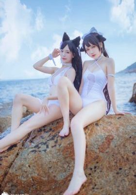风月如雪