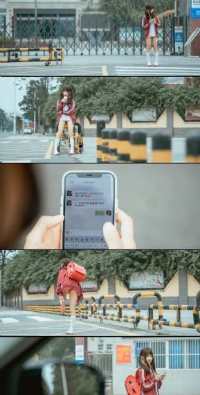 催花之狼