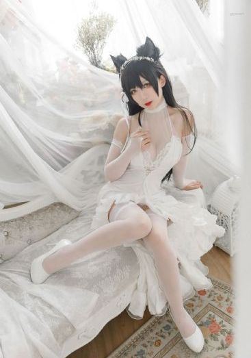 野花高清完整版免费观看视频大全