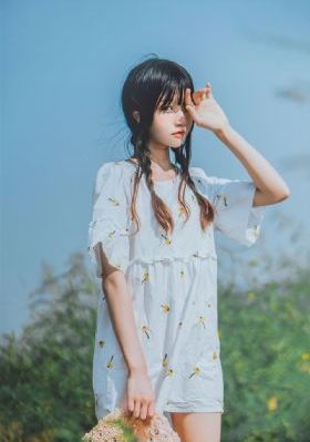 电视剧玫瑰故事免费观看全集