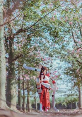 井胧抄袭