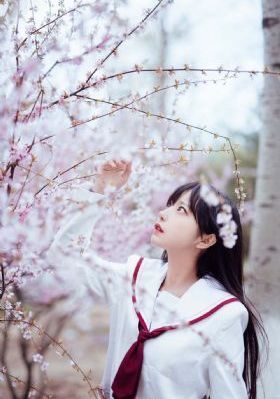 打狗棍